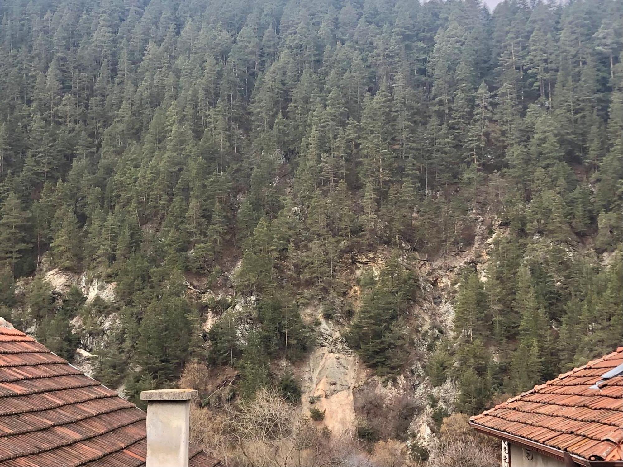 Niya Guest House Beli Iskar Exterior photo